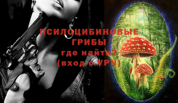 ALPHA-PVP Белокуриха