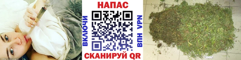 Канабис конопля  наркотики  Питкяранта 